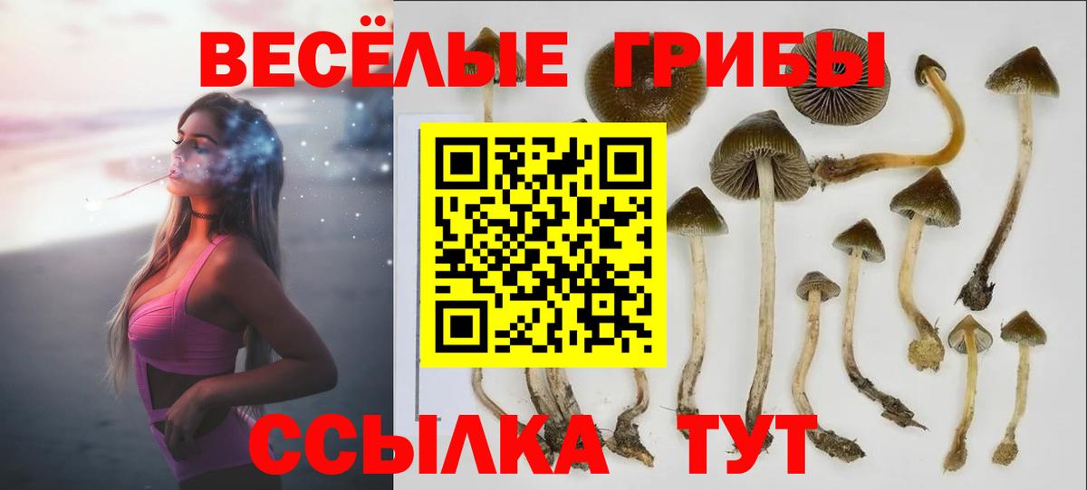 Галлюциногенные грибы Psilocybe  Вход с VPN  Пугачёв 